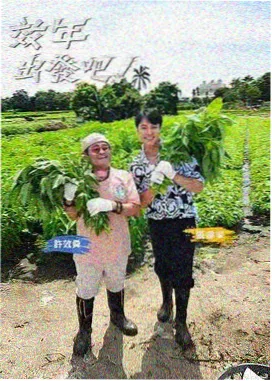 回声实验室 综艺在线观看