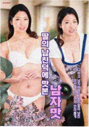 灰阶档案 热播剧集免费看